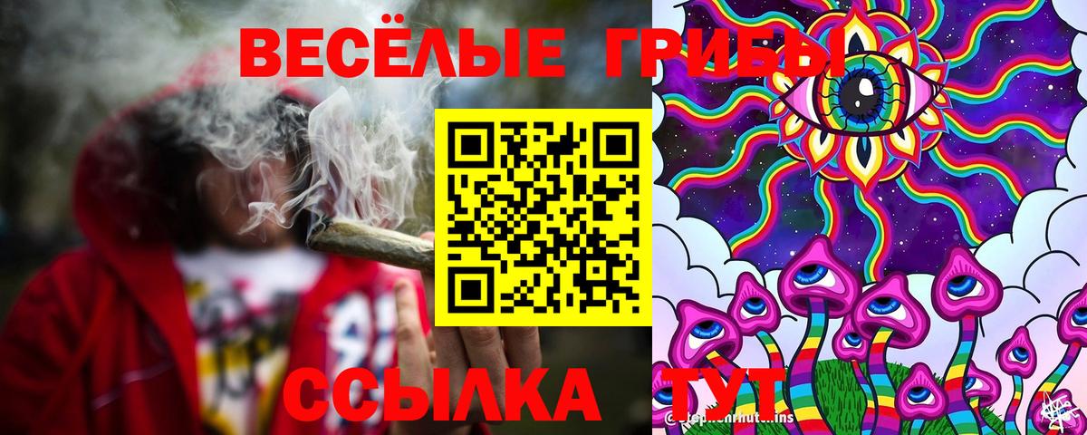 Унеча  Галлюциногенные грибы Psilocybine cubensis  Псилоцибиновые грибы Magic Shrooms  Вход с VPN 